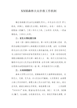 XX镇森林火灾扑救工作机制.docx
