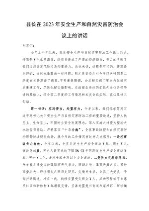 县长在2023年安全生产和自然灾害防治会议上的讲话.docx
