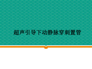 超声引导下动静脉穿刺置管.ppt