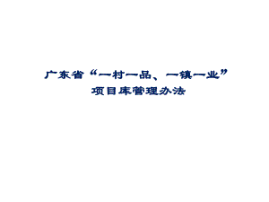 广东省一村一品项目库管理办法.ppt