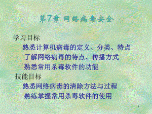 网络病毒安全.pptx