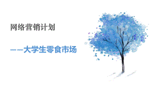 网络营销ppt.pptx