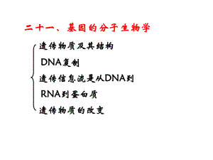 暨大普通生物学21基因的分子生物学.pptx