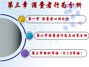 消费者行为分析报告.pptx