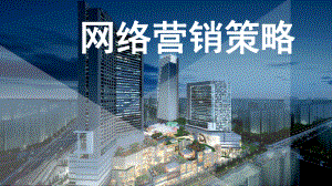 网络营销策略分析.pptx