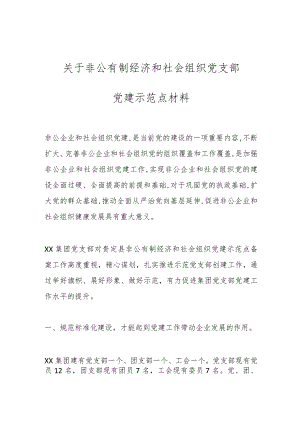 关于非公有制经济和社会组织党支部党建示范点材料.docx
