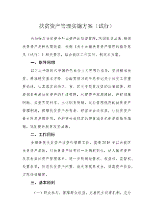 扶贫资产管理实施方案（试行）.docx
