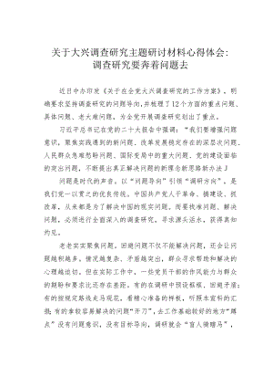 关于大兴调查研究主题研讨材料心得体会：调查研究要奔着问题去.docx