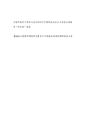 乡镇开展学习贯彻“学思想、强党性、重实践、建新功主题教育“回头看”报告和关于乡镇基层党建的调研报告2篇.docx