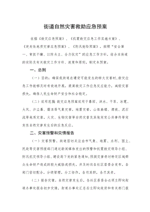 街道自然灾害救助应急预案.docx