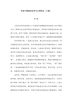 年轻干部座谈会学习心得体会（三篇）.docx