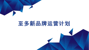 至多新品牌运营计划.pptx