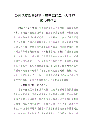 公司党支部书记学习贯彻党的二十大精神的心得体会.docx