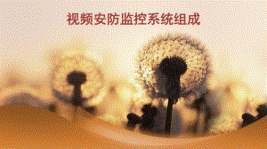 视频安防监控系统组成.pptx