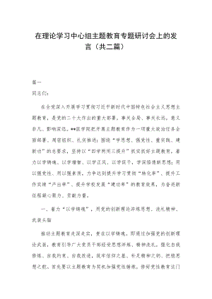 在理论学习中心组主题教育专题研讨会上的发言(共二篇).docx