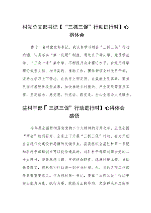 (4篇)村党总支部书记【“三抓三促”行动进行时】心得体会范本.docx