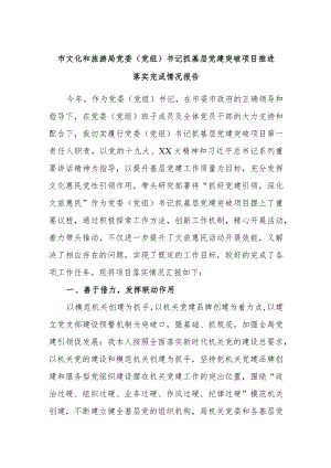 市文化和旅游局党委（党组）书记抓基层党建突破项目推进落实完成情况报告.docx
