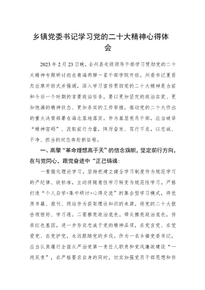 乡镇党委书记学习党的二十大精神心得体会（3篇）.docx