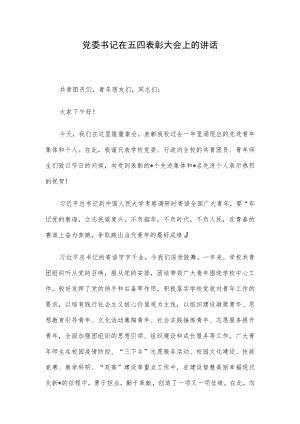 党委书记在五四表彰大会上的讲话.docx