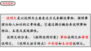 说明文知识点.pptx