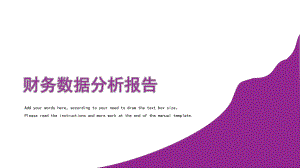 财务数据分析报告.pptx
