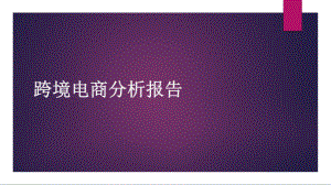跨境电商分析报告.pptx