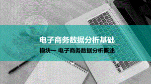 认识电子商务数据及数据分析.pptx