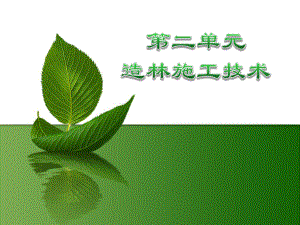 造林施工技术.pptx
