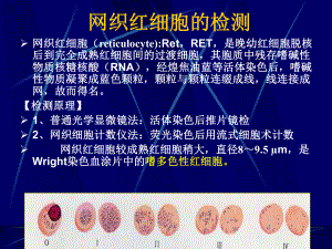 贫血的实验室检查诊断学.pptx