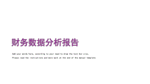 财务数据分析报告.pptx