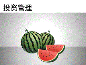 财务管理(投资管理).pptx