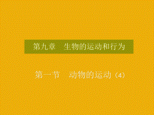 第一节动物的运动4(9月16日精品教育.ppt