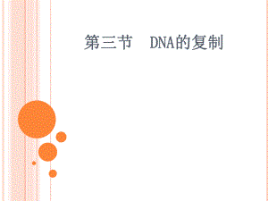 第三节DNA的复制精品教育.ppt