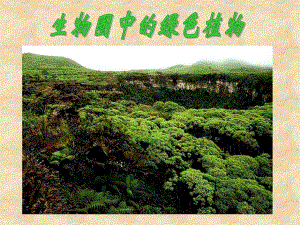 第一节藻类苔藓和蕨类植物课件 精品教育.ppt