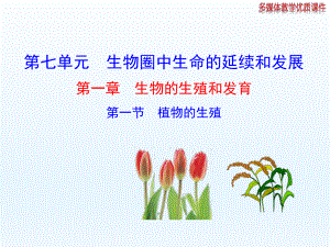 第一节植物的生殖精品教育.ppt