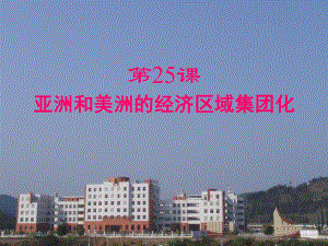 第25课亚洲和美洲的经济区域一体化精品教育.ppt