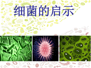 八细菌的启示精品教育.ppt