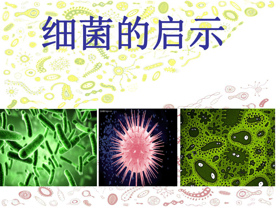 八细菌的启示精品教育.ppt_第1页