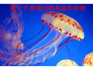 第一节腔肠动物和扁形动物0902精品教育.ppt