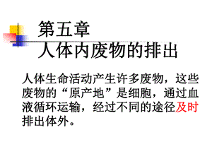 第一节尿的形成与排除精品教育.ppt