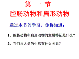 第一节腔肠动物和扁形动物2课时精品教育.ppt
