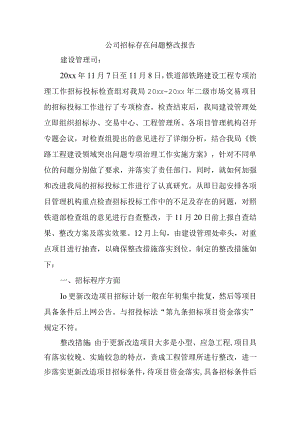 公司招标存在问题整改报告.docx