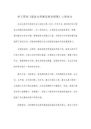 学习贯彻《国家水网建设规划纲要》心得体会.docx