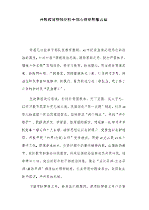 开展教育整顿纪检干部心得感想集合篇.docx
