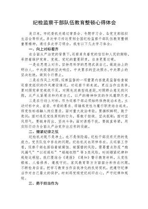 2023全国纪检监察干部队伍教育整顿心得体会【3篇精选】供参考.docx