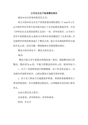 公司安全生产检查整改报告.docx