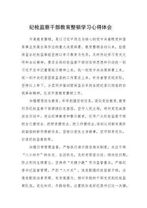 纪检监察干部教育整顿学习心得体会（三篇).docx
