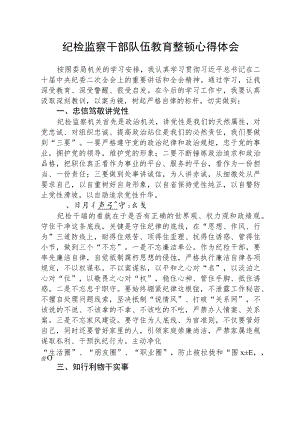 2023全国纪检监察干部队伍教育整顿活动的心得体会精选范文(3篇).docx