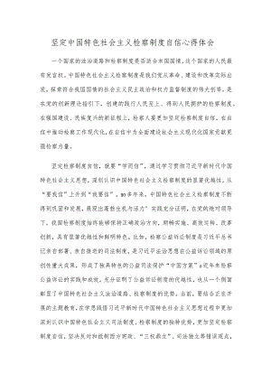 坚定中国特色社会主义检察制度自信心得体会.docx