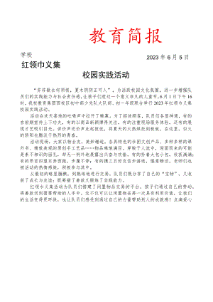 开展红领巾义集校园实践活动简报.docx